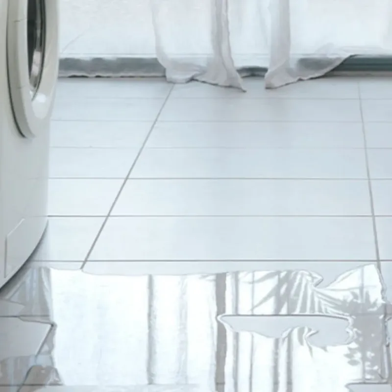Appliance Leak Cleanup in Walton County, FL