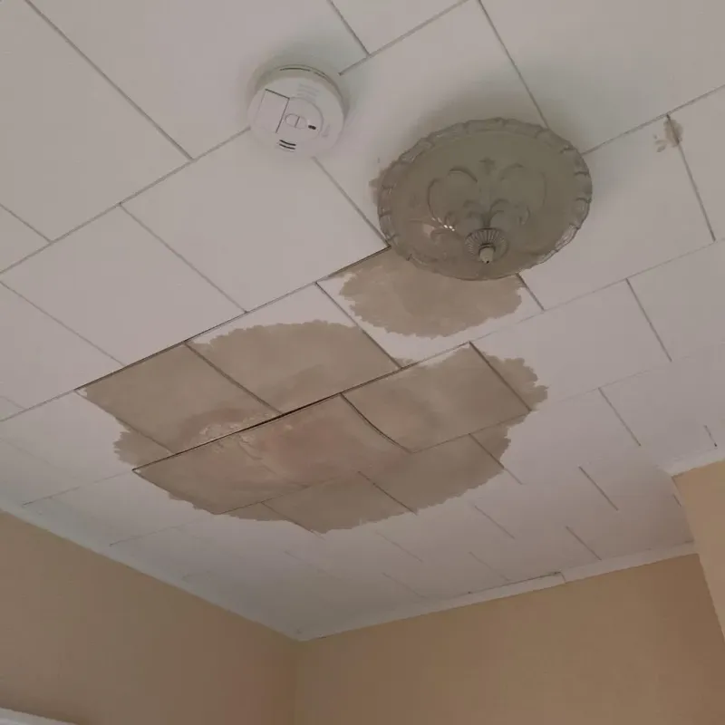 Ceiling Water Damage Repair in Walton County, FL